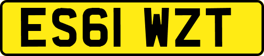 ES61WZT