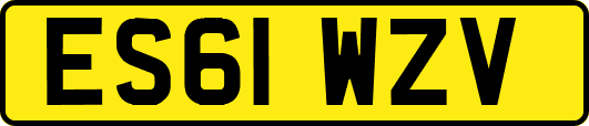 ES61WZV