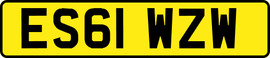 ES61WZW