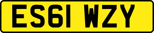 ES61WZY