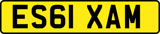 ES61XAM