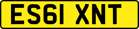 ES61XNT