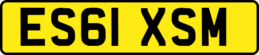 ES61XSM