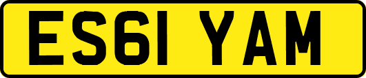 ES61YAM