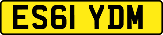 ES61YDM