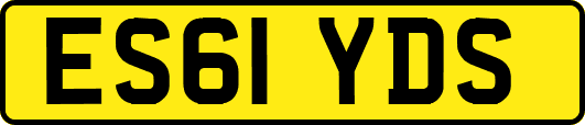 ES61YDS