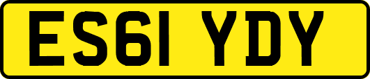 ES61YDY