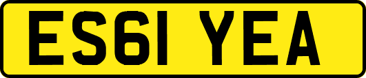 ES61YEA