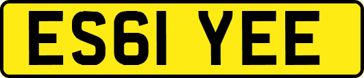 ES61YEE