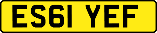ES61YEF