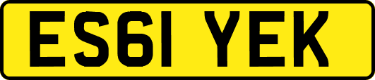 ES61YEK