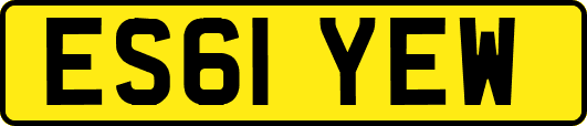 ES61YEW