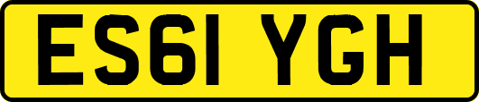 ES61YGH