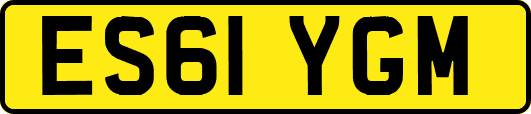 ES61YGM