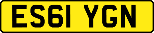 ES61YGN