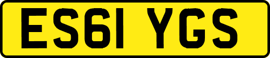 ES61YGS