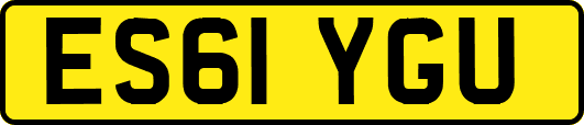 ES61YGU