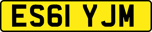 ES61YJM