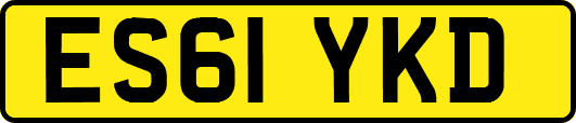 ES61YKD