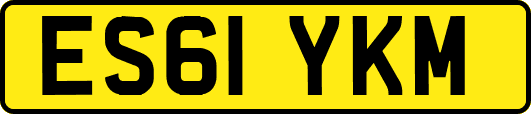 ES61YKM