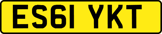 ES61YKT