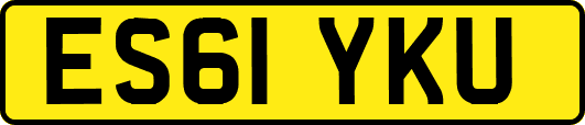 ES61YKU