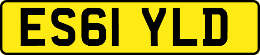 ES61YLD
