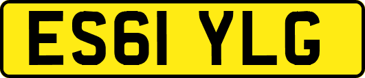 ES61YLG