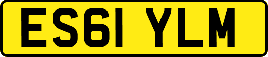 ES61YLM