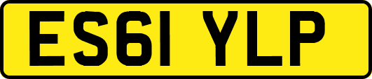 ES61YLP