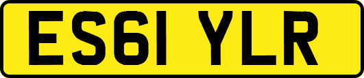 ES61YLR