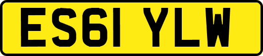 ES61YLW