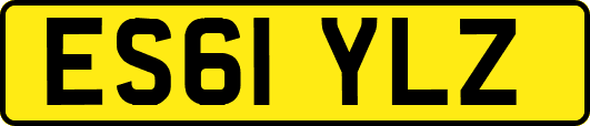 ES61YLZ