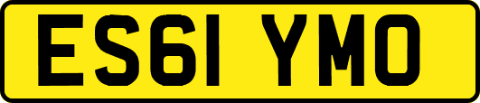 ES61YMO