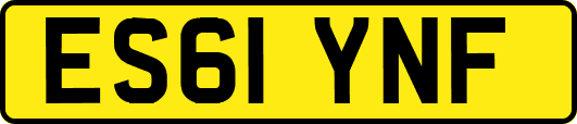 ES61YNF