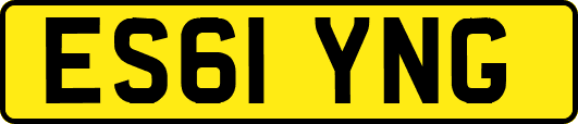 ES61YNG