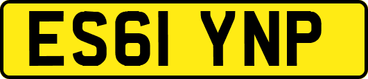 ES61YNP