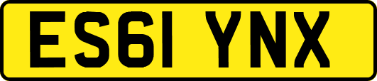 ES61YNX