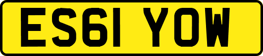ES61YOW
