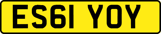 ES61YOY