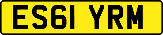 ES61YRM