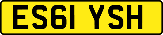 ES61YSH