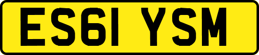 ES61YSM