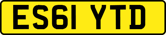 ES61YTD