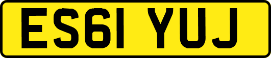 ES61YUJ
