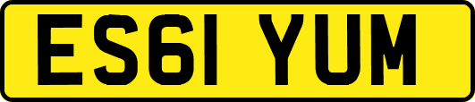 ES61YUM