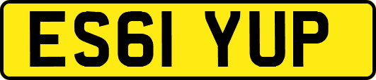 ES61YUP