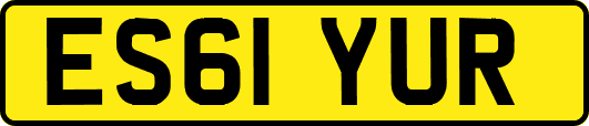 ES61YUR