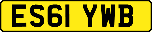 ES61YWB