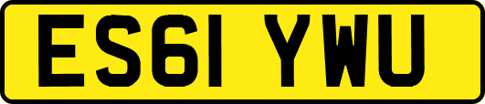 ES61YWU